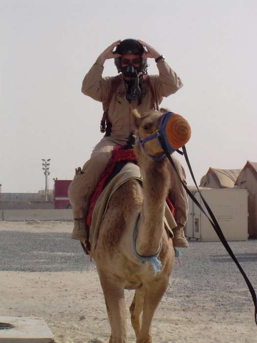 Camel Combat Edge Demo.jpg